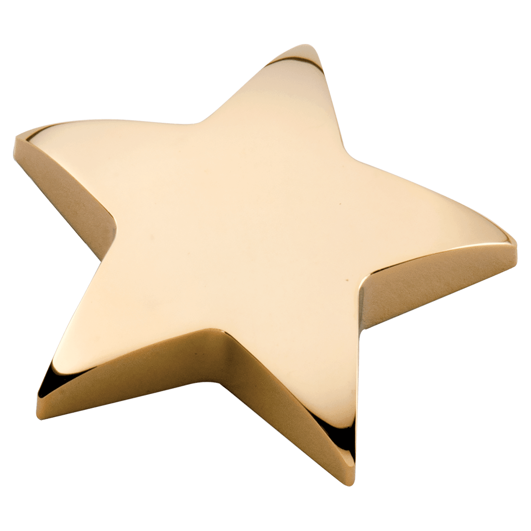Metal Star Paperweight.