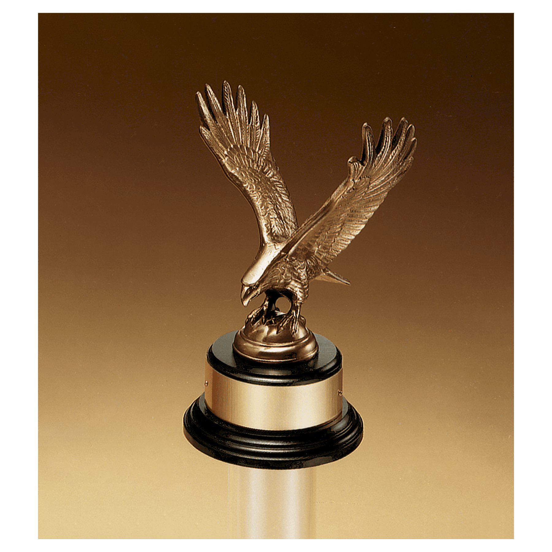 Antique Bronze Eagle Casting on Black Piano Finish Base with Gold Plate.